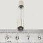 (5 Pack) XP5KV065A Microwave Line Fuse 0.65A, 5kV