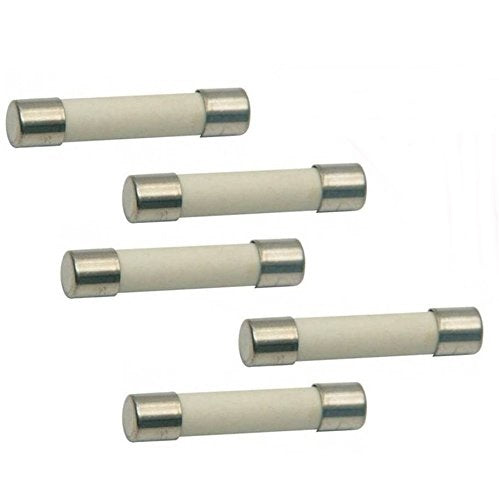 (5 Pack) EXP20A Ceramic Line Fuse, Slow Blow,  20A