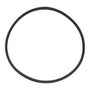 28808CM Washer Drive Belt Replaces WP28808